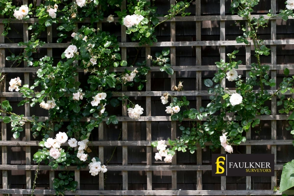 Can I put trellis on my Neighbours garage wall? 2 Do you want to adapt your neighbours garage door and add a trellis Aylesbury? Talk to Faulkner Surveyor Aylesbury